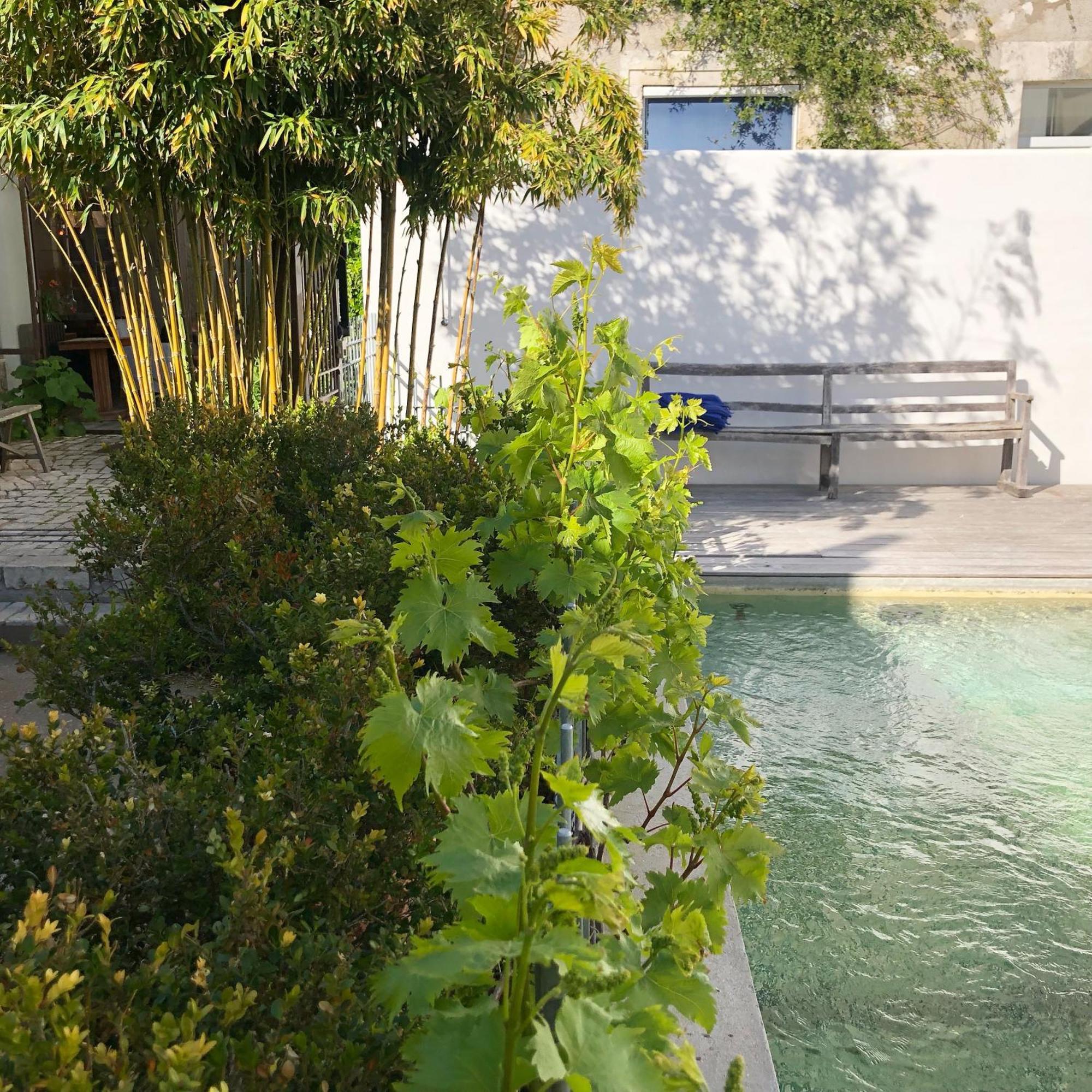 Hotel Le Senechal Ars-en-Re Ngoại thất bức ảnh